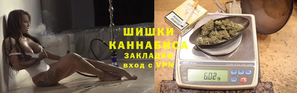 ГАЛЛЮЦИНОГЕННЫЕ ГРИБЫ Арсеньев