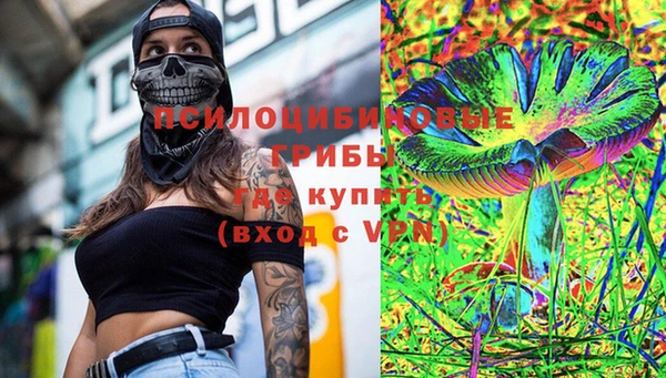 прущие грибы Аркадак