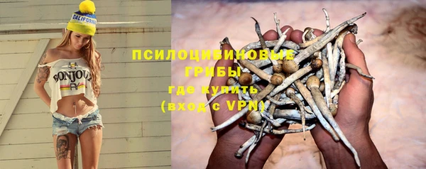 ГАЛЛЮЦИНОГЕННЫЕ ГРИБЫ Арсеньев